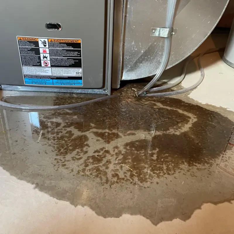 Appliance Leak Cleanup in Spanish Fort, AL